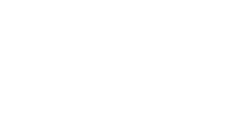 FOX ESS